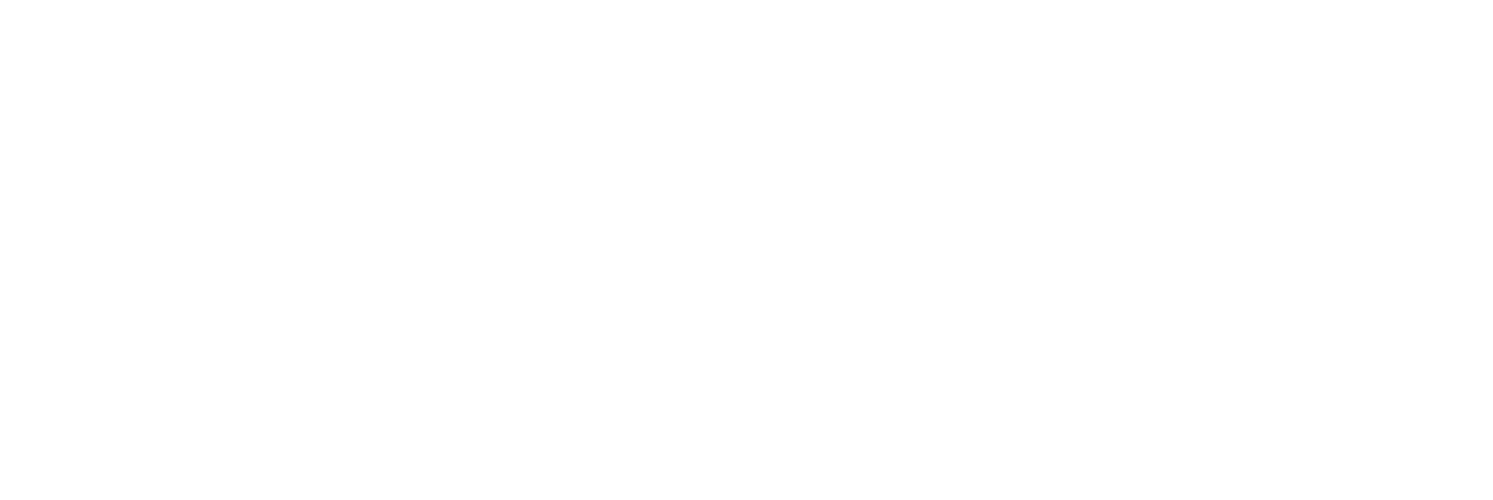 title van gogh