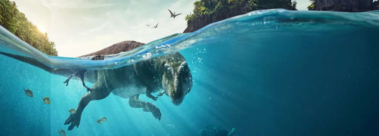 dinosaure bassin eau silhouettes