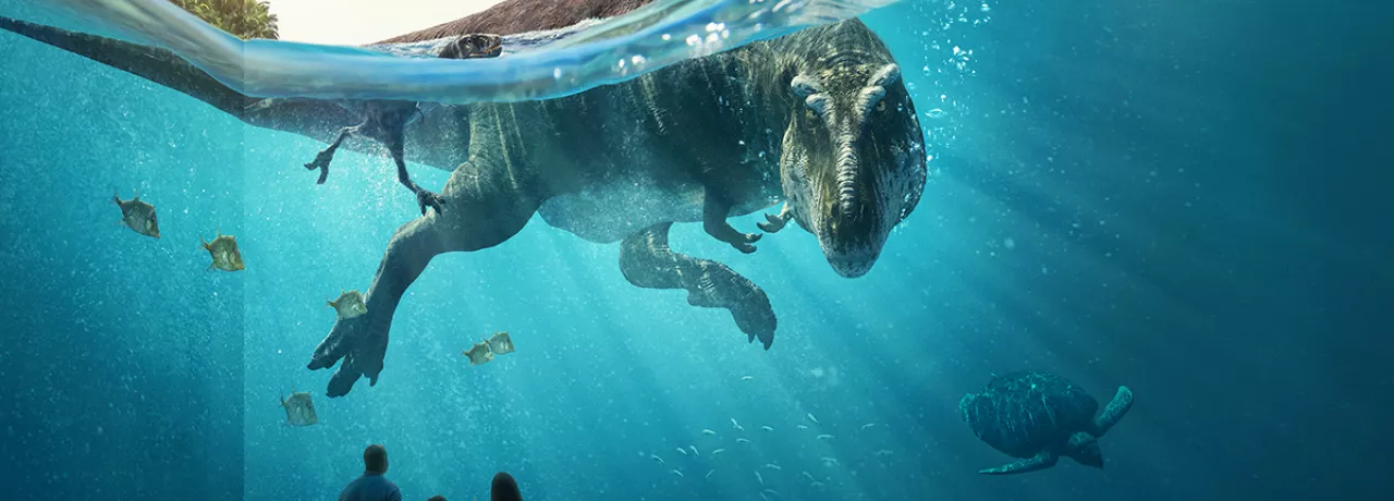 dinosaure nageant eau projection