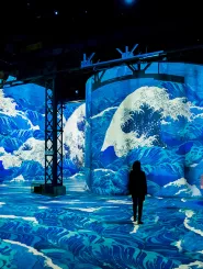 Dreamed Japan
