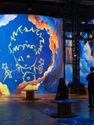 visuel le petit prince principal