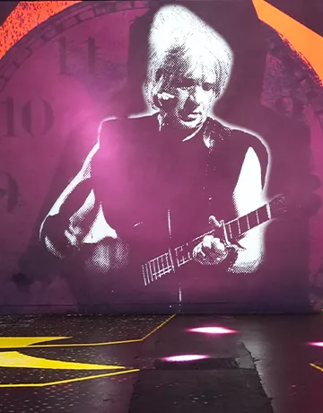 nicola sirkis concert