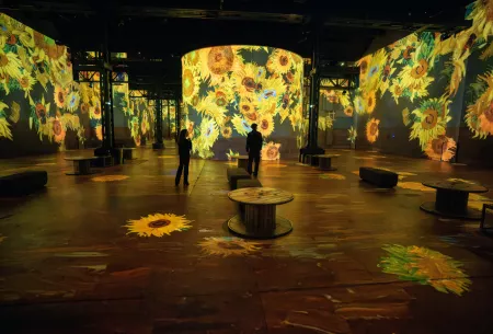 Une expérience artistique immersive unique