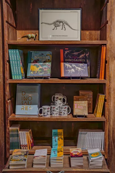 livres dinosaures boutique