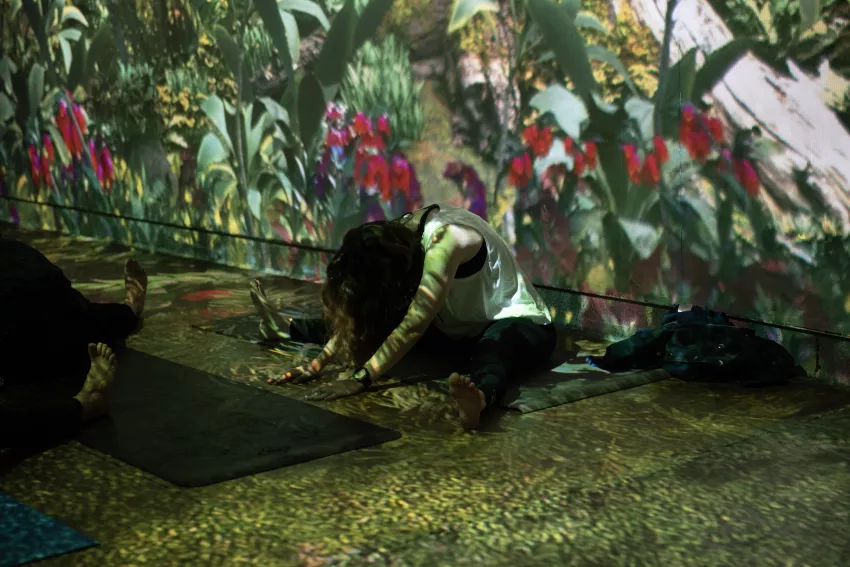 yoga jungle posture