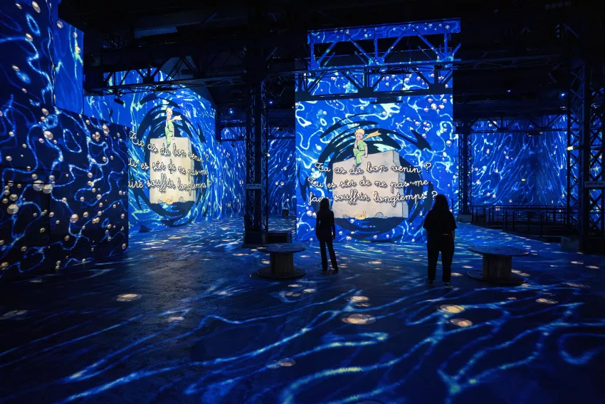 le petit prince phrase