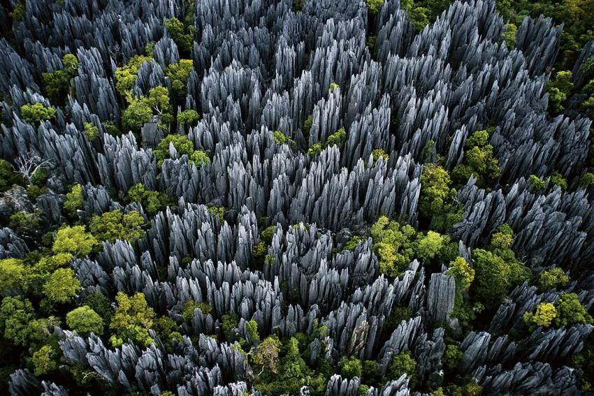Terra Magnifica