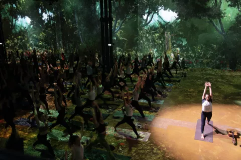 yoga jungle