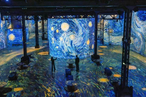 nuit étoilée van gogh public